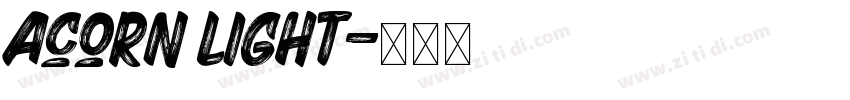 Acorn Light字体转换